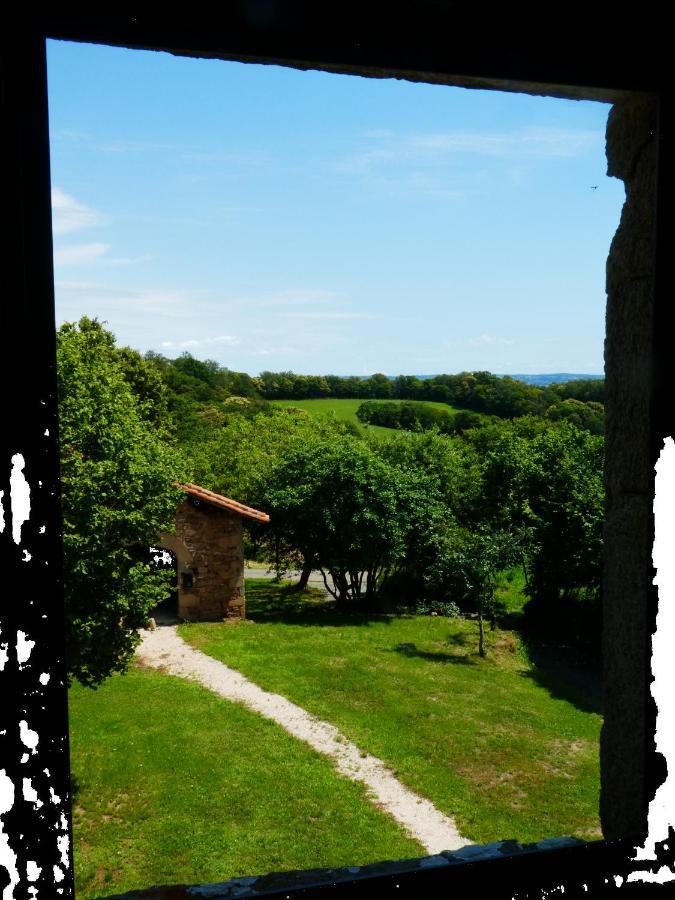 Grande Maison De Caractere En Pierres -Superbe Vue Saint-Cirgues  Eksteriør billede